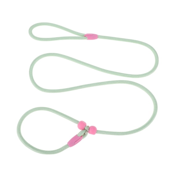 Unique Bargains Slip Leash for Dogs No Pull Heavy Duty Training Leash Medium Green 5ft