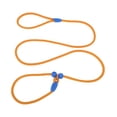 thumbnail image 1 of Unique Bargains Slip Leash for Dogs No Pull Heavy Duty Training Leash Medium Orange 5ft, 1 of 7