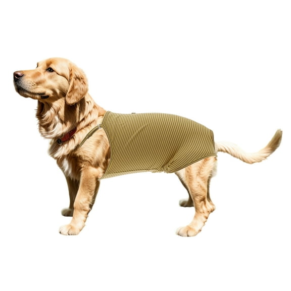 Unique Bargains Washable Reusable Dog Diapers Physiological Pants with Adjustable Strap Small Medium Dogs Cats L Yellow