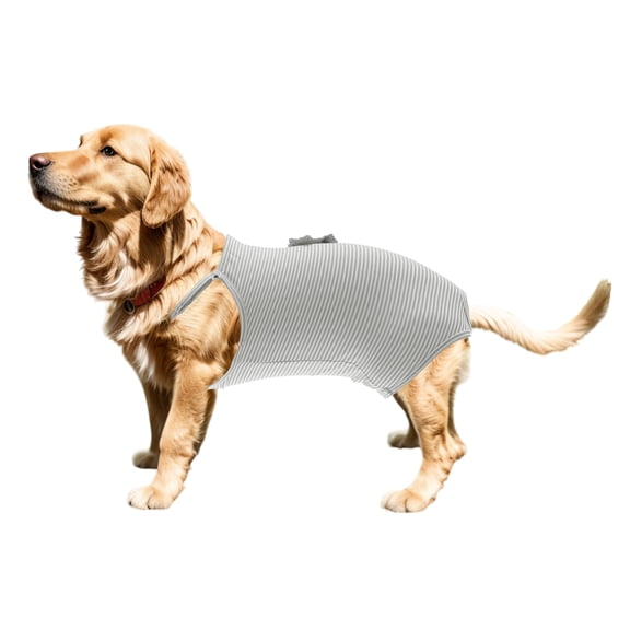 Unique Bargains Washable Reusable Dog Diapers Physiological Pants with Adjustable Strap Small Medium Dogs Cats XL Gray