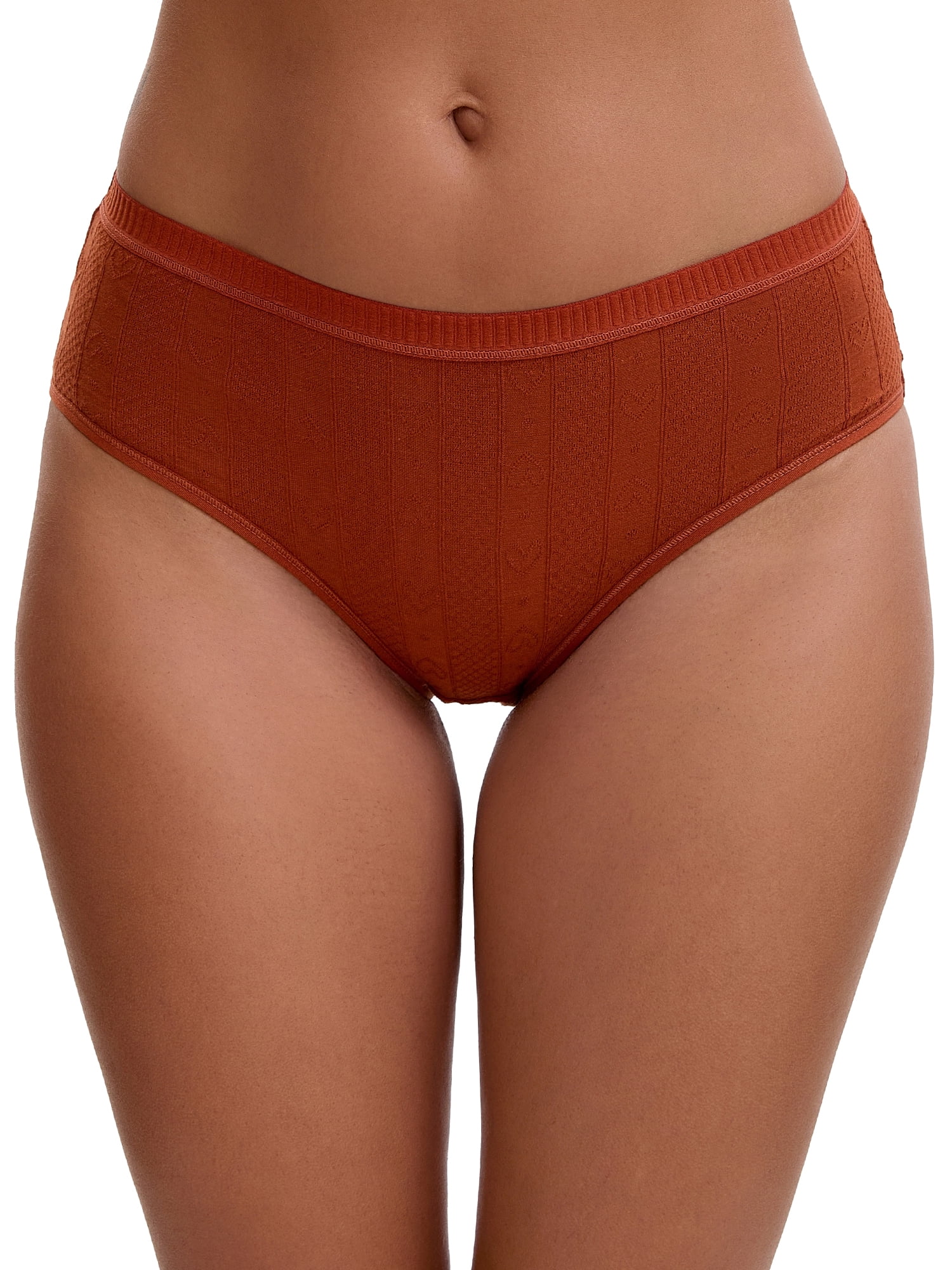 Unique Bargains Women's High Waist Tummy Control Briefs Underwear L Brown