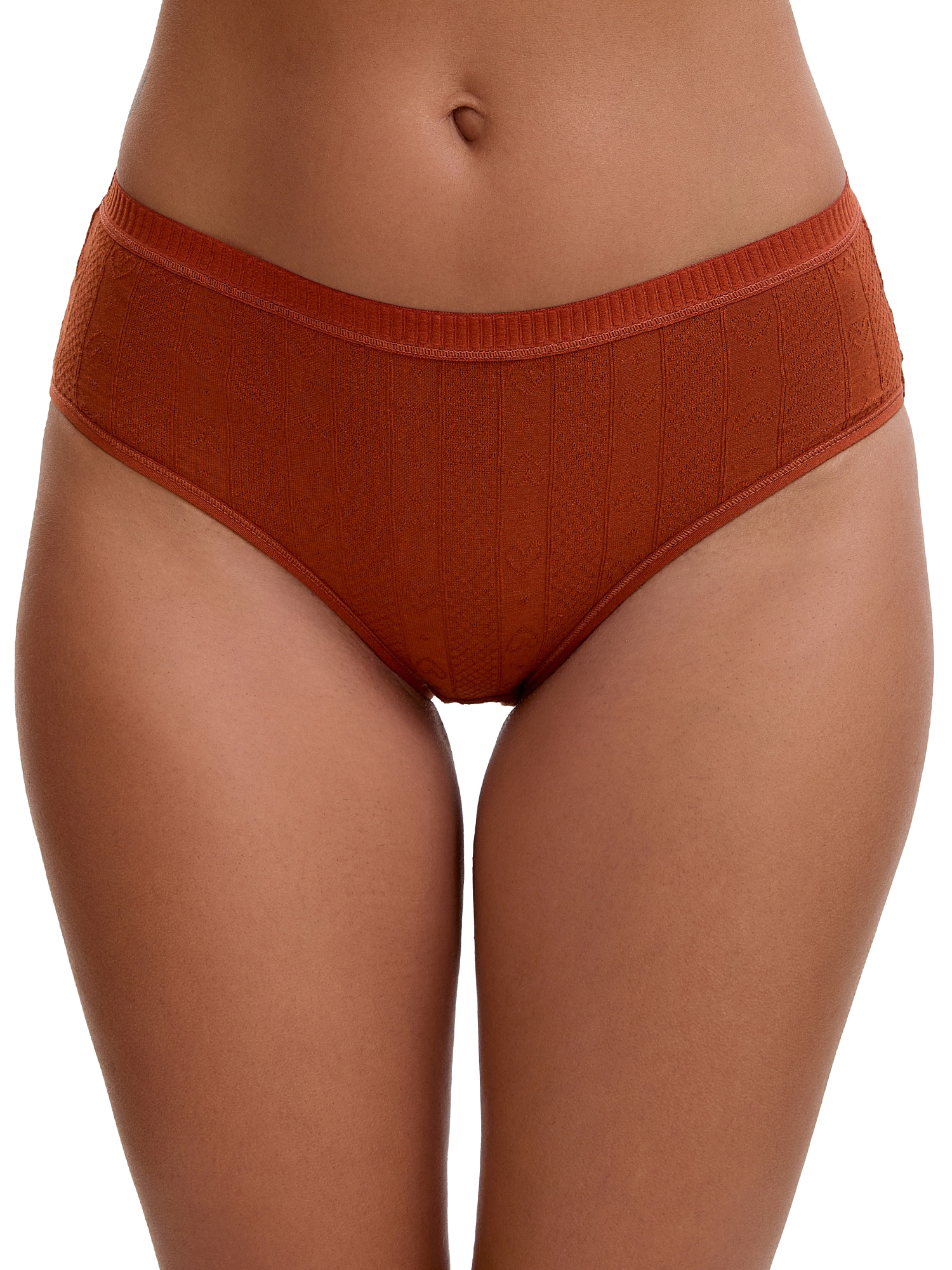 Unique Bargains Women's High Waist Tummy Control Briefs Underwear M Brown