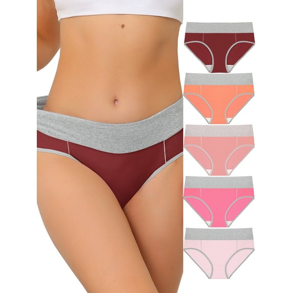 Unique Bargains Women's Plus Size 5 Packs Brief Stretchy Underwear Burgundy, Orange, Light Pink, Hot Pink, Pink 1X