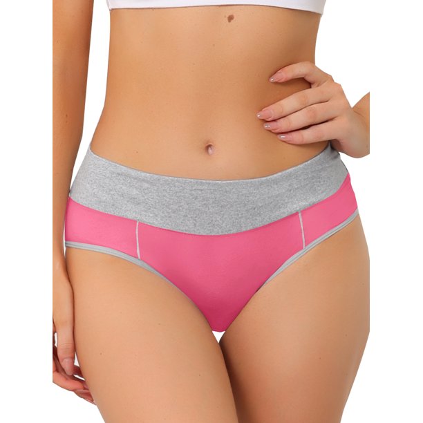 Unique Bargains Women's Plus Size 5 Packs High Rise Brief Stretchy Underwear