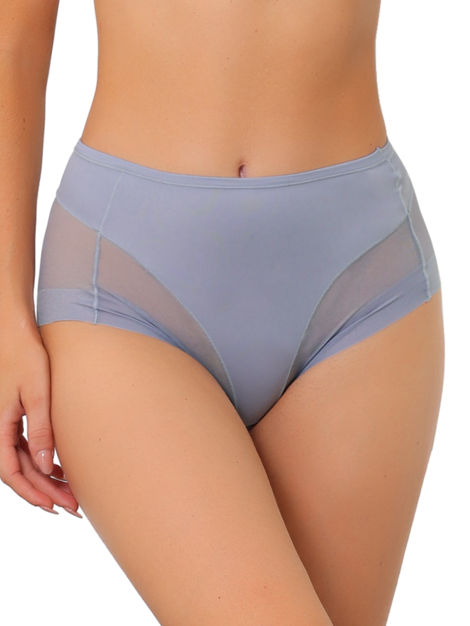 Unique Bargains Women's Plus Size Laser Cut Mesh High Rise Brief Stretchy Underwear Mid-Blue M