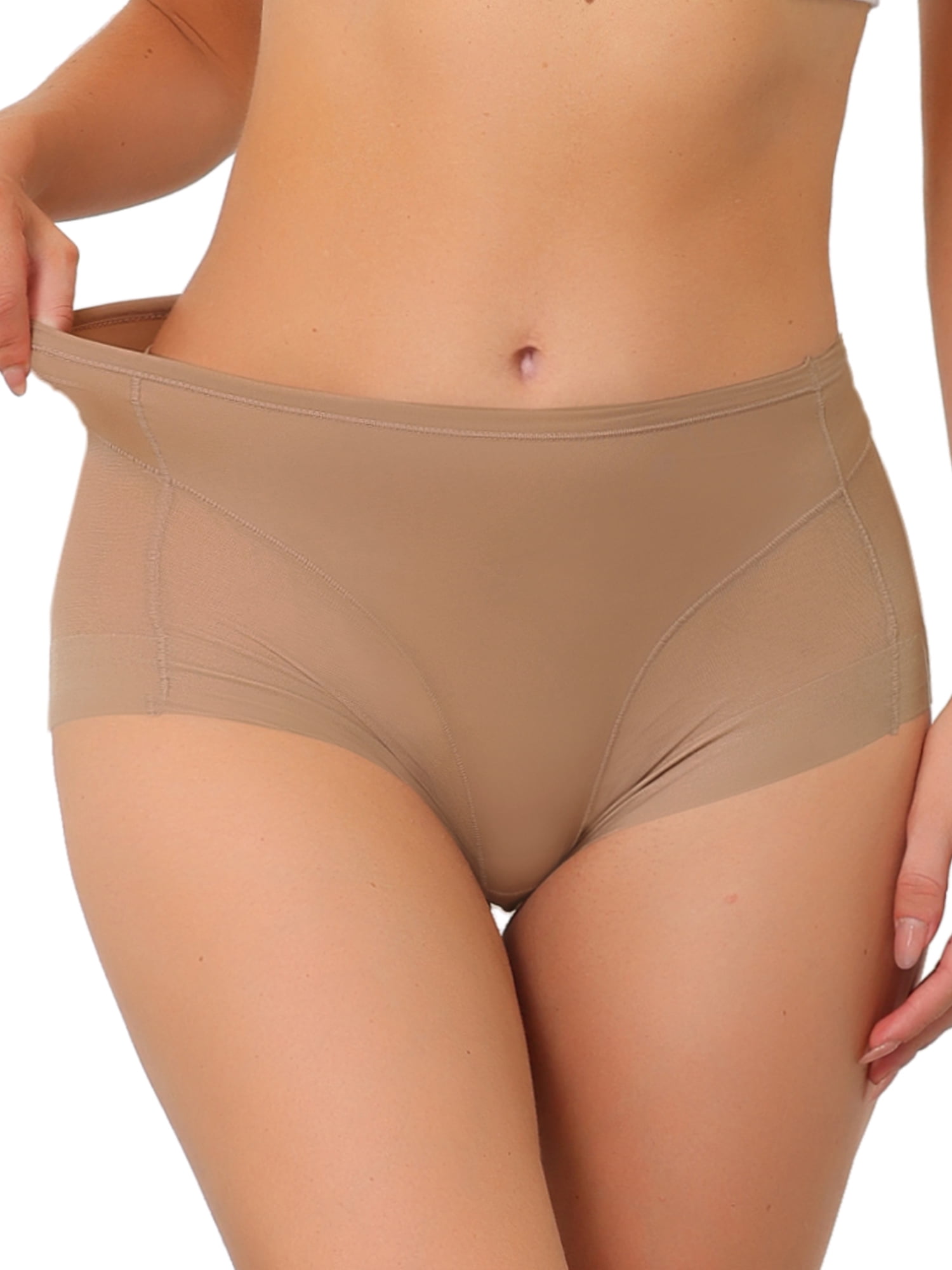 Unique Bargains Women's Plus Size Laser Cut Mesh High Rise Brief Stretchy  Underwear