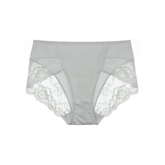 Unique Bargains Women's Plus Size Mid-Rise Lace Trim Brief Seamless Underwear Gray 1X