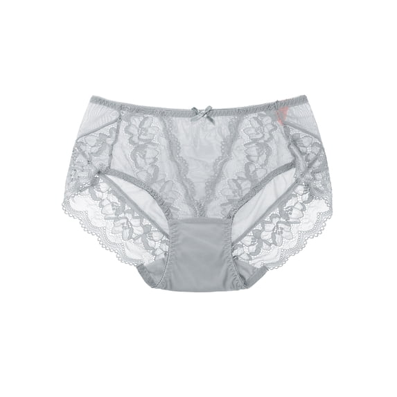 Unique Bargains Women's Plus Size Sheer Lace Trim High Rise Brief Stretchy Underwear Gray M