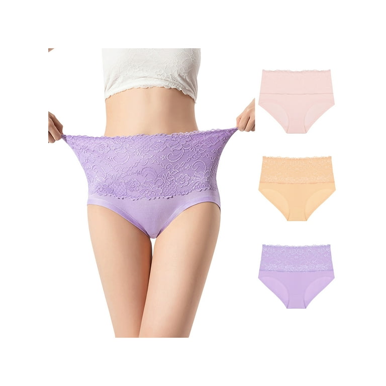 Unique Bargains Women's Plus Size Underwear Stretch Packs Lace High Rise  Comfort Briefs 