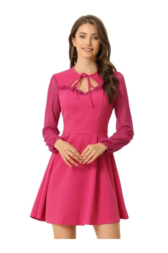 Women's Tie Neck Ruffled Mesh Long Sleeve Mini Dress S Hot Pink