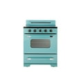 thumbnail image 1 of Unique Classic Retro 30" 3.9 Cu/ft Freestanding 5-Element Electric Range with Convection Oven, 1 of 12