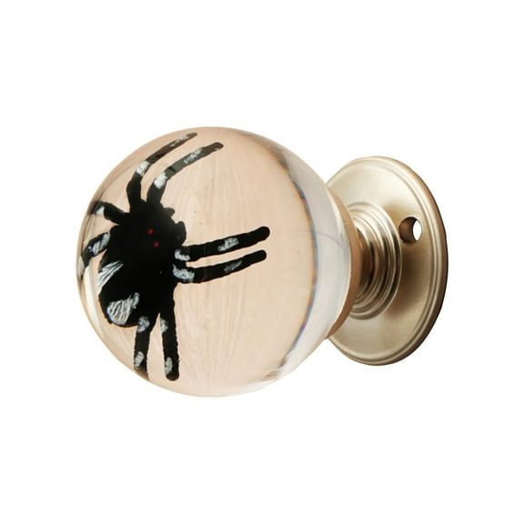 Unique Decorative Door Handle, Retro Round Resin Epoxy Flower Door Knob, Transparent Animal Crystal Pulls, Artistic Decorative Hardware for Bedroom, Living Room, Drawer, Cabinet (Spider A)