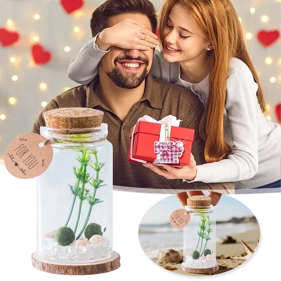 Unique Desktop Glass Terrarium Kit with Cylinder Vase - Elegant Decorative Indoor Ornament for Home Enhancement and Miniature Arrangements