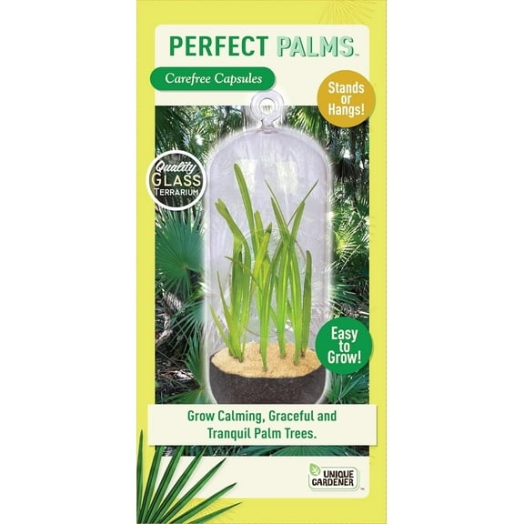 Unique Gardener Carefree Capsule Terrarium Kit Create Your Serene Sanctuary with Perfect Palms Terrarium Grow Kit - Over 10 Varieties for Easy Indoor Gardening