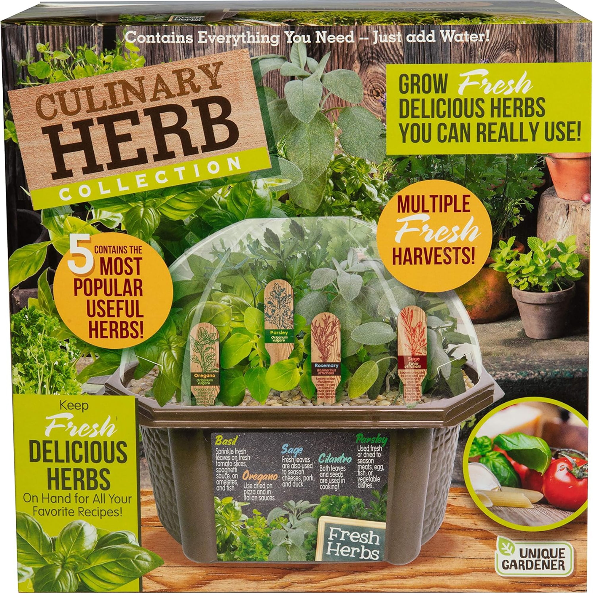 Garden Culinary Herb Collection Terrarium Kit Plants Kitchen Window Indoor frugal farm homestead