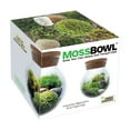 thumbnail image 1 of Unique Gardener MossBowl - Grown Your Own Serene and Tranquil Oasis, 1 of 5
