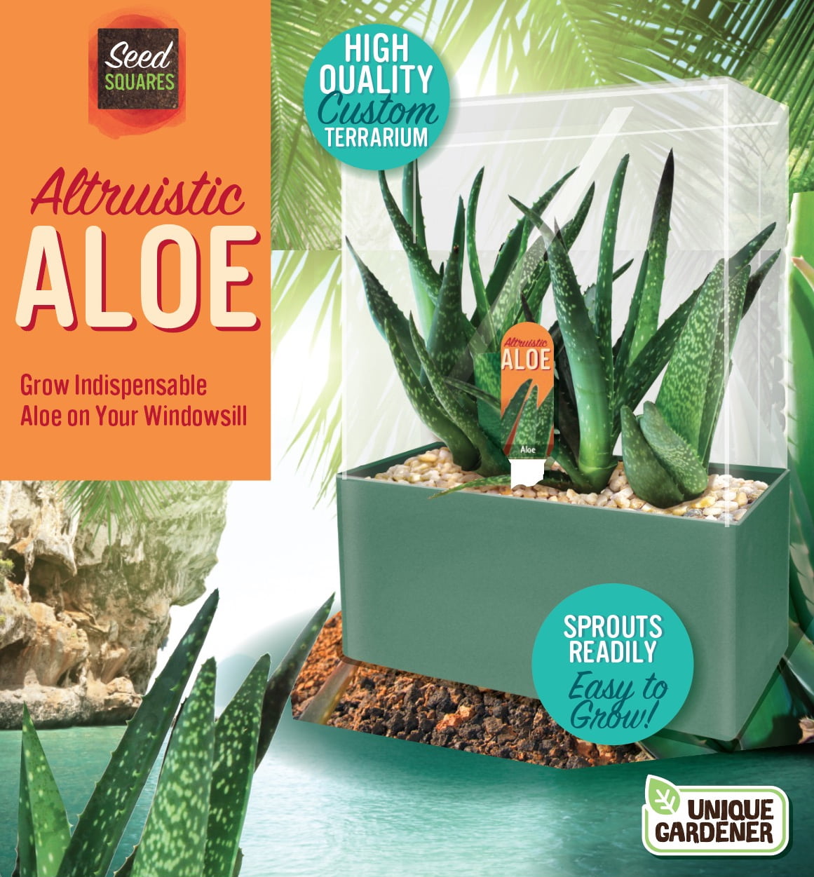 Aloe Plant Seeds