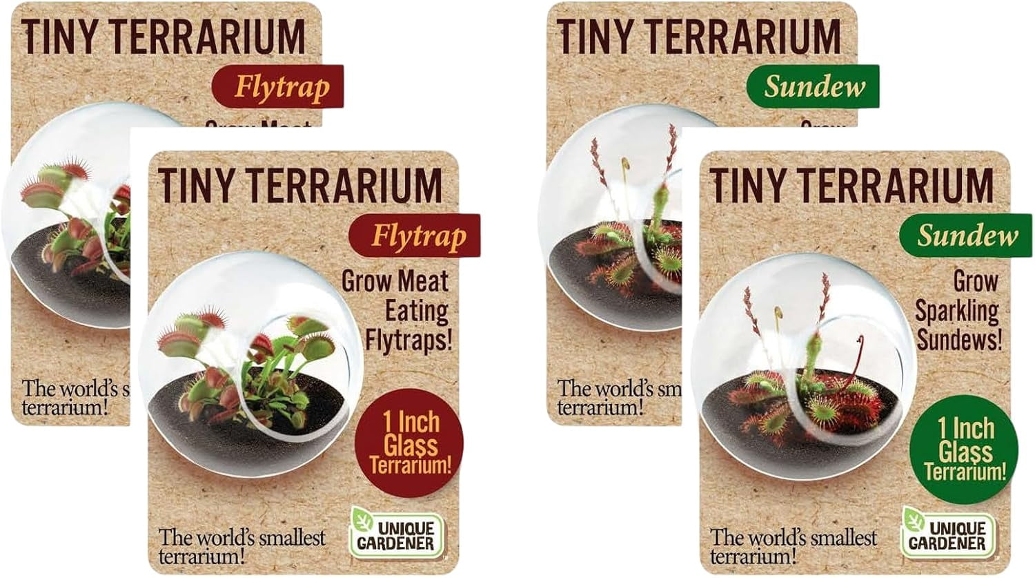 Unique Gardener: Tiny Terrarium Plant Seeds - DIY Indoor Succulents and Live Plants for Home or Garden Planting - 2 Each of Assorted Carnivorous Pack