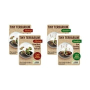 Unique Gardener Tiny Terrarium - 2 Variety Carnivorous Plant Pack 2 of Each