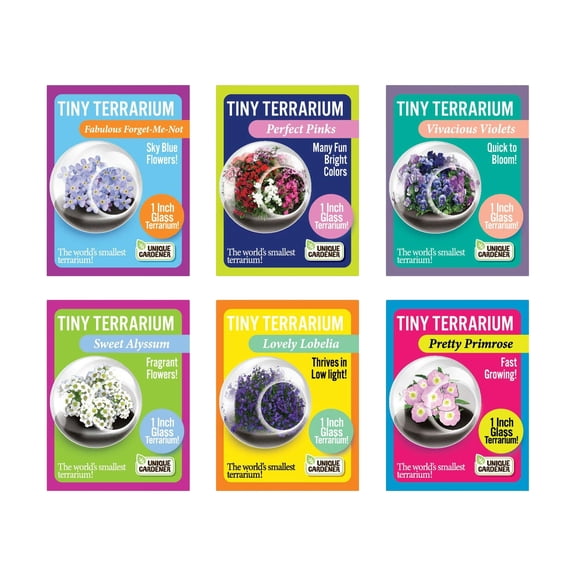 Unique Gardener Tiny Terrarium - 6 Variety Flowering Pack: 1 of Each