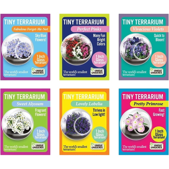 Unique Gardener: Tiny Terrarium Plant Seeds - DIY Indoor Succulents and Live Plants for Home or Garden Planting - 6 Variety Assorted Pack