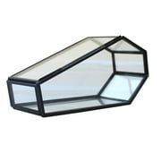 Unique Glass Coffin Display Case for Jewelry and Theme Decoration