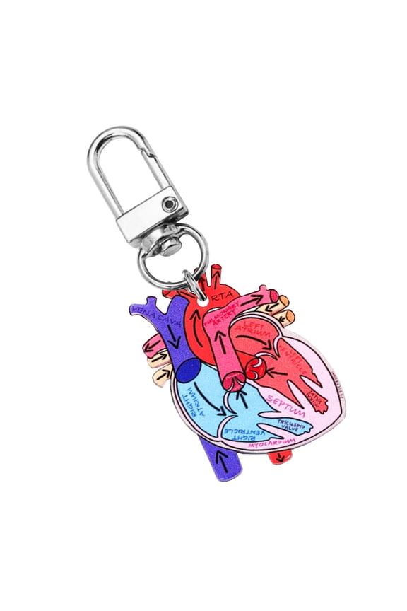Unique Heart Designs Keychain Realistic Heart Diagram Keychain Charm for Public Health and Anatomy Awareness