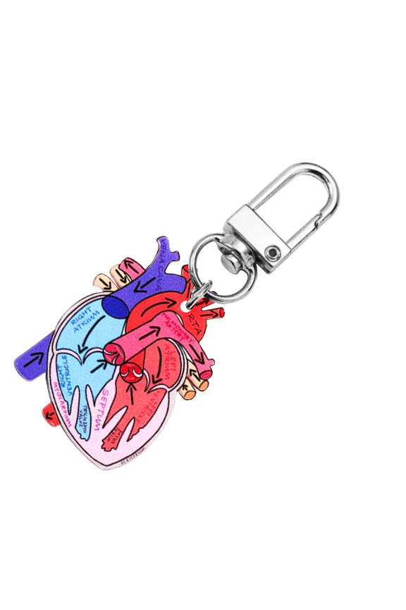 Unique Heart Designs Keychain Realistic Heart Diagram Keychain Charm for Public Health and Anatomy Awareness