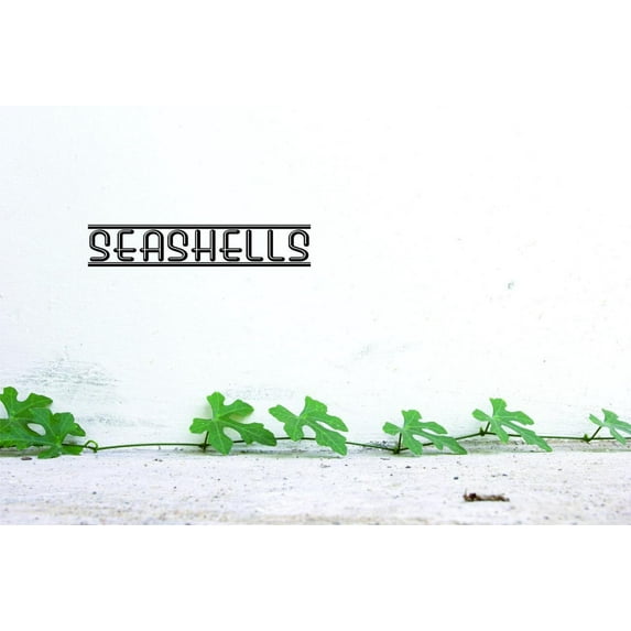 Unique Home Wall Stickers Seashells Decal Décor for Bedroom Living Room Nursery - Size: 8 In x 20 In