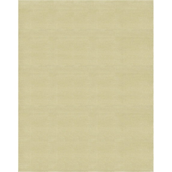 Unique Loom Everyday Shag Rug