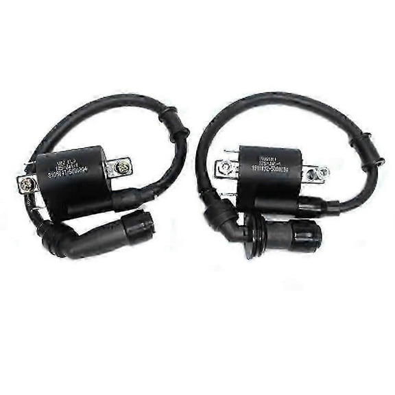 Unique Motorcycle Ignition Coil Voltage For Benelli BJ125-3E BJ125-3 125cc TNT 125 135 QJIANG Left&Right Combination Spark Cap