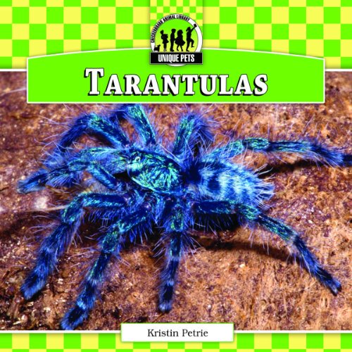 Pre-Owned Tarantulas (Library Binding) 9781617834448