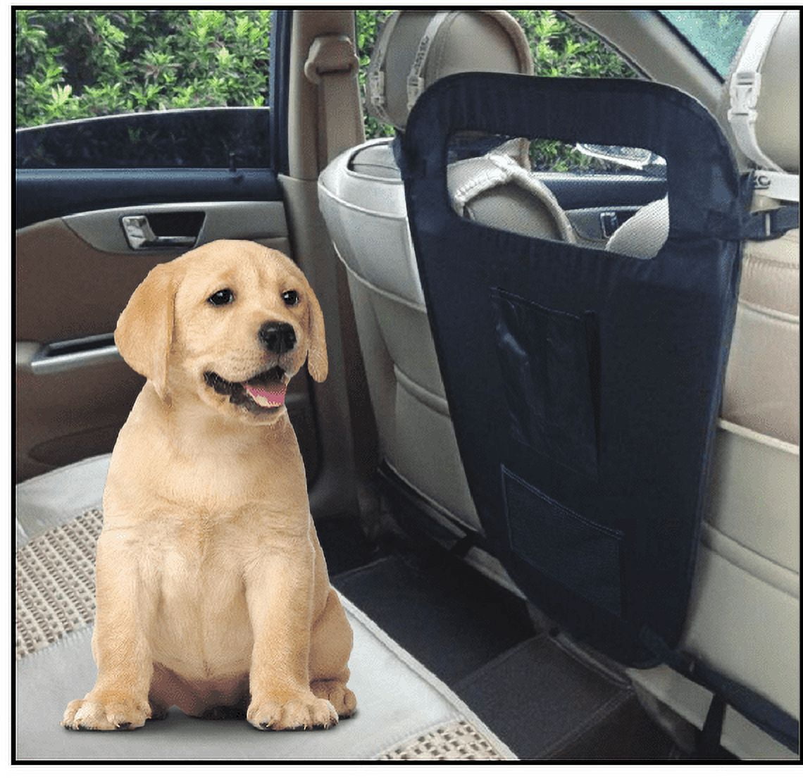 Car seat divider outlet for dogs