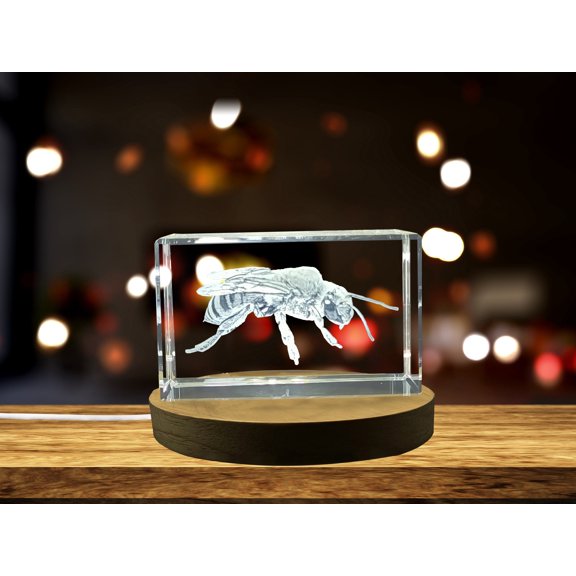 Unique Squash Bee 3D Engraved Crystal Gift - Perfect for Nature Lovers