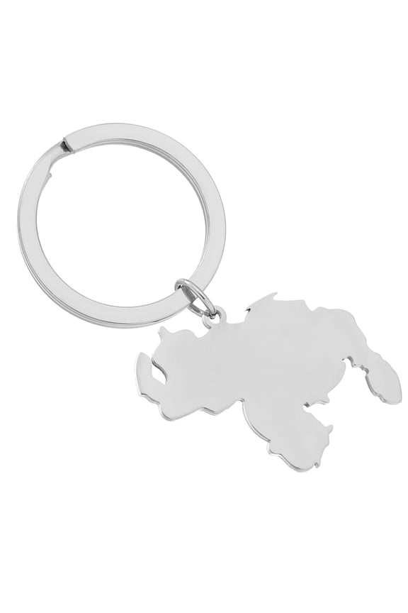 Unique Venezuela Map Keys Jewelry Stainless Steel Venezuela Map Keychain Venezuela Map Keyrings Bag Ornament for Daily