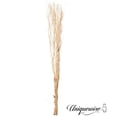 thumbnail image 1 of Uniquewise 12 pcs Natural Decorative Dry Branches Authentic Willow Sticks for Home Decoration, Wedding Craft, 47 in, Black, Stems DIY Greenery Plants Craft Vases fillers Garden Hotel Farmhouse Décor, 1 of 6