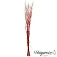 thumbnail image 1 of Uniquewise 12 pcs Natural Decorative Dry Branches Authentic Willow Sticks for Home Decoration and Wedding Craft, 47 in, Stems DIY Greenery Plants Craft Vases fillers Home Garden Hotel Farmhouse Decor, 1 of 6
