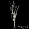 thumbnail image 1 of Uniquewise 12pc 59" Natural Dried Mulberry Twigs Ideal Sticks for DIY Crafts Decorative Stems Floral Arrangements Floor Vase Fillers Wedding Centerpiece Event Decorations and Home Décor Accent, White, 1 of 5