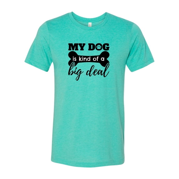 Unisex Adult Fit My Dog is Kind of An Important Person Short Sleeve T-Shirt-Sea Green Triblend-Small