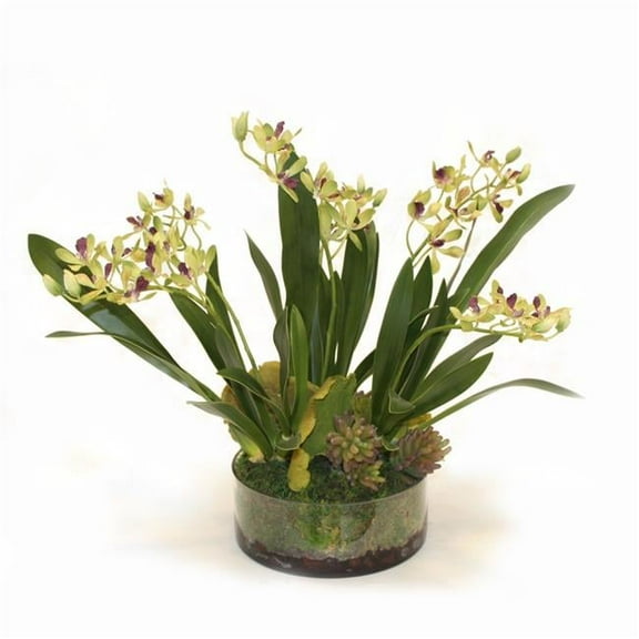 Unisex Amethyst Green Vanda Orchid in Low Round Glass