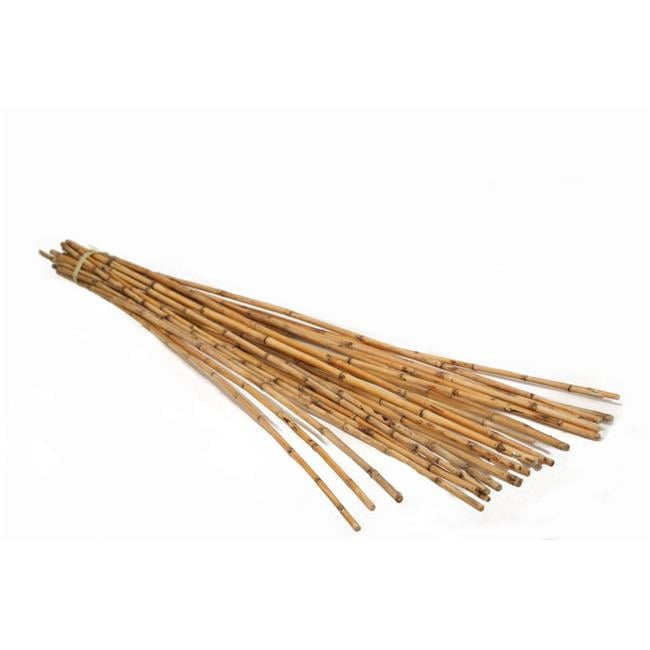 Unisex Arrorog Natural Pole - Neutral - Set of 25