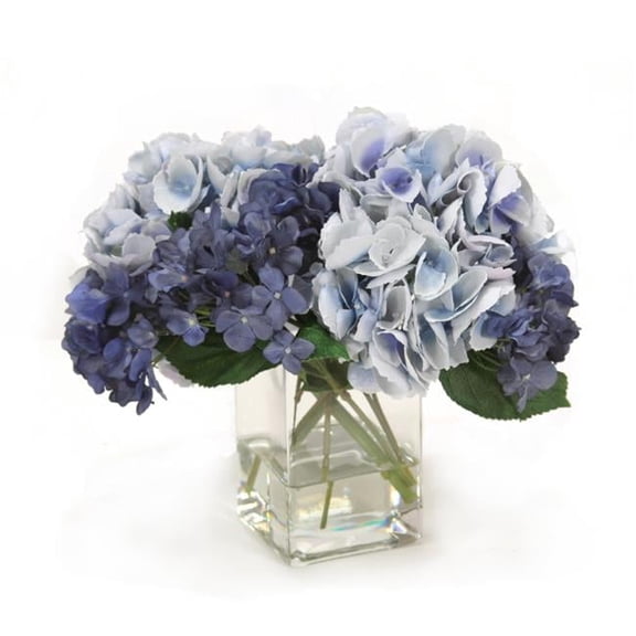 Unisex Blue & Navy Hydrangeas in Square Vase
