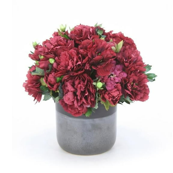 Unisex Burgundy Peonies in Two Toned Black Pot - Green