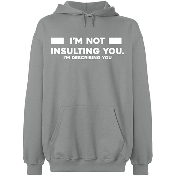 Unisex Crewneck Sweatshirt, Not Insulting You Describing, Slim Fit, Long Sleeve Sweater - Sport Grey Large