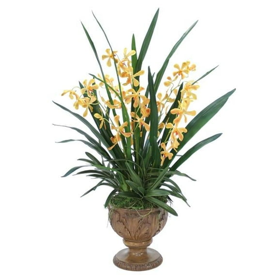 Unisex Gold Yellow Vanda Orchid Plant in Acanthus Leaf Urn - Green