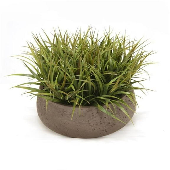 Unisex Grass in Black Wash Round Planter - Green
