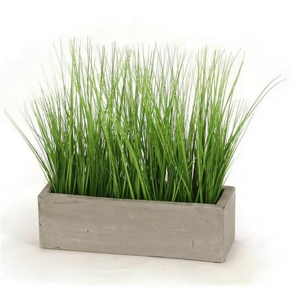 Unisex Grass in Concrete Window Box - Green