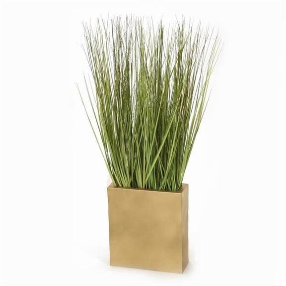 Unisex Grass in Gold Cube Planter - Green