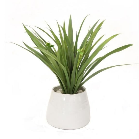Unisex Grass in White Planter - Green