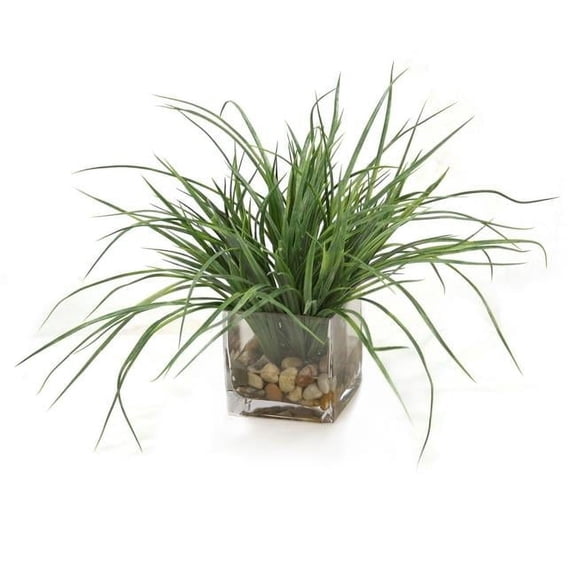 Unisex Grass with Rocks in Cube Vase - Mixed